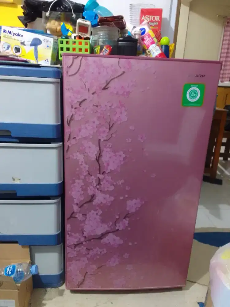 Jual kulkas satu pintu