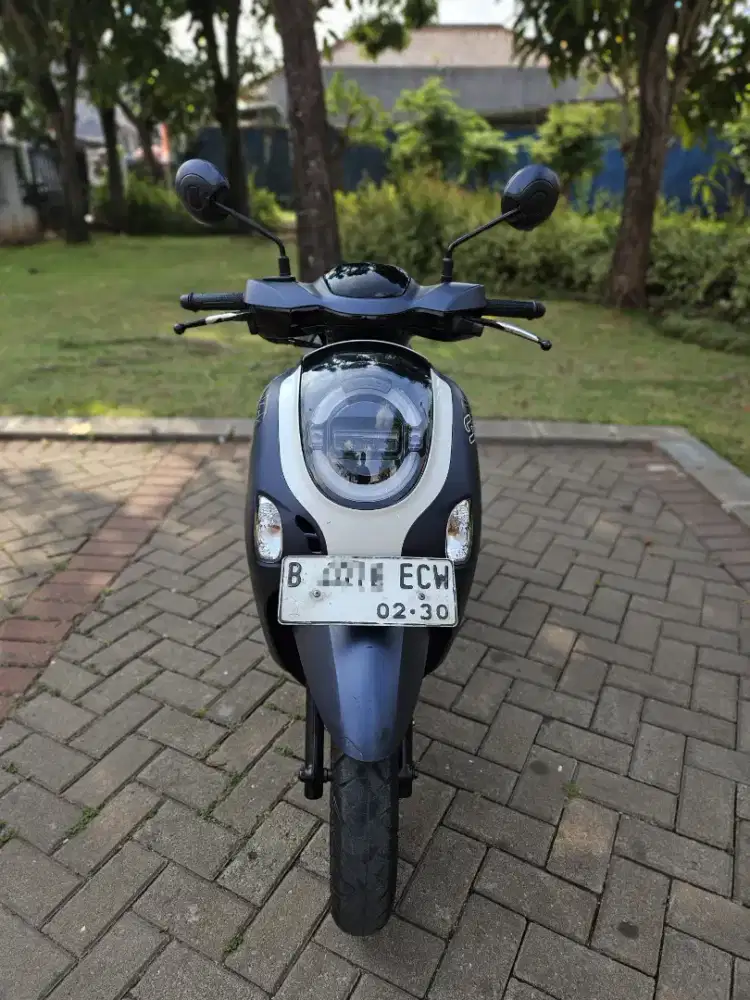 Honda Scoopy Donat New 2025