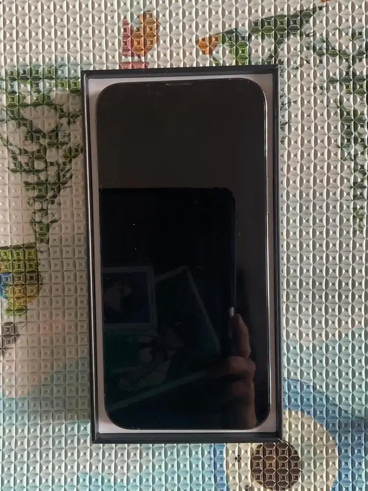Iphone 13 Pro Max 128GB MULUS