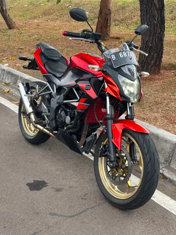 Kawasaki Z250sl Tahun 2014