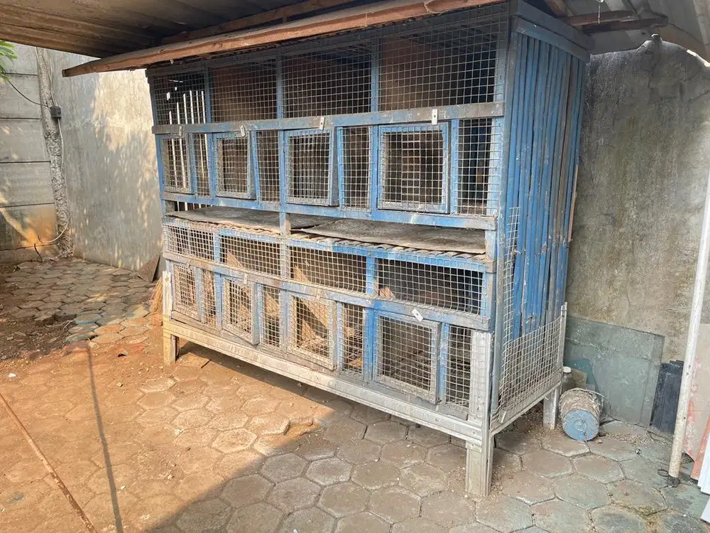 Kandang ayam 8 pintu