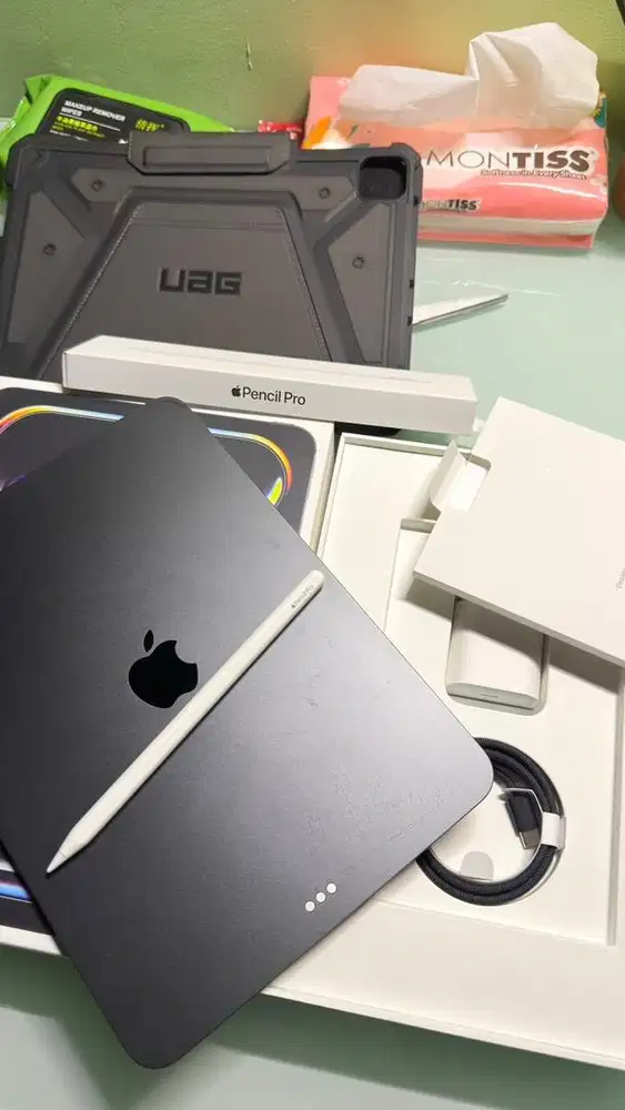 Ipad Pro M5 256GB 11'inc Wifi Garansi Inter Sampai February 2027