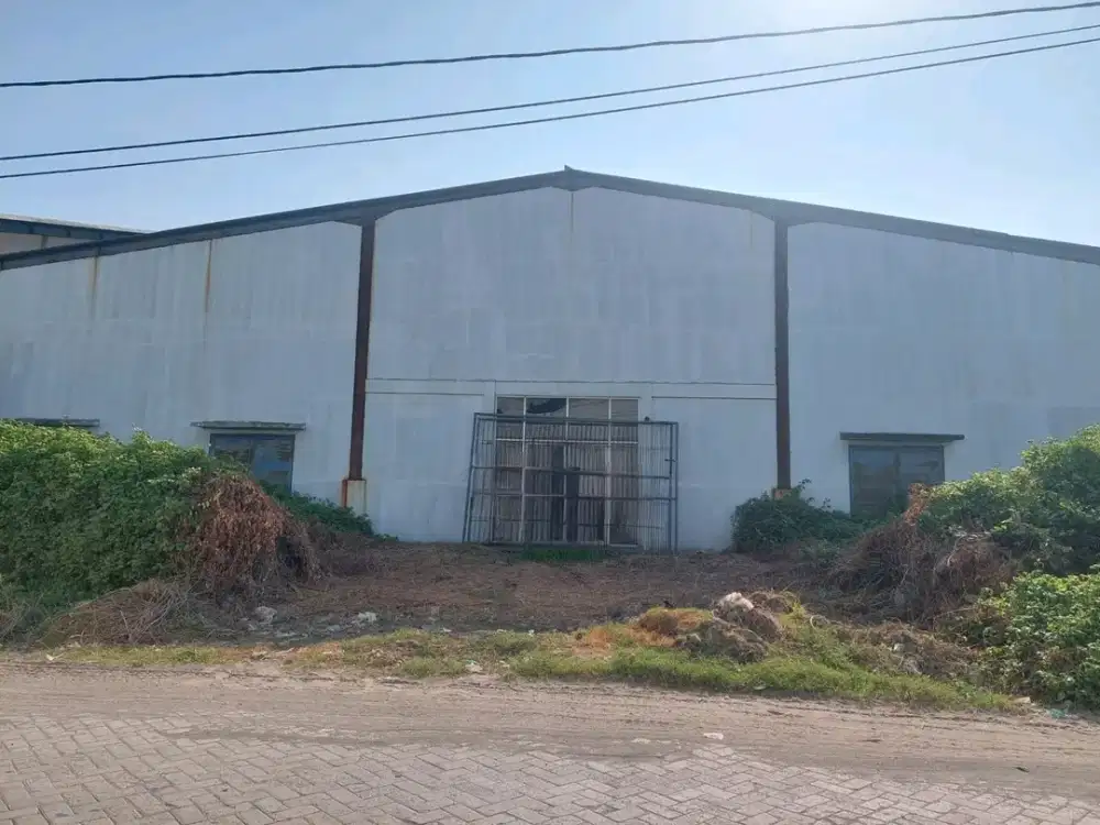 TAMBAK SAWAH