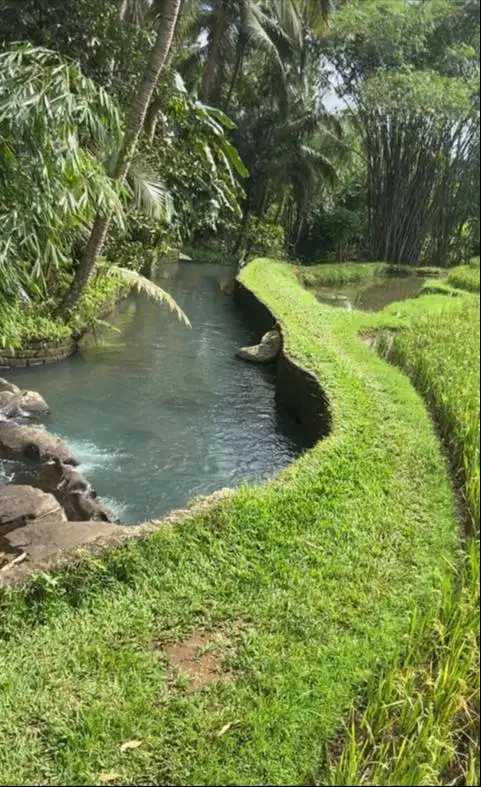 TANAH 2.000 M² TABANAN | SUNGAI + MINI AIR TERJUN | AKSES 2 MOBIL