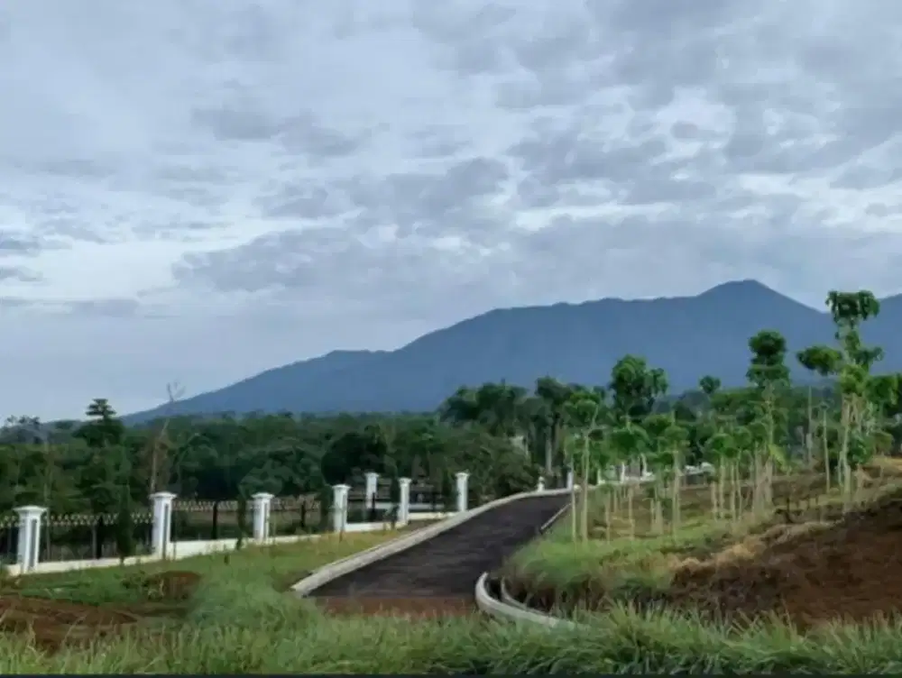 Di jual cepat tanah di Sukabumi