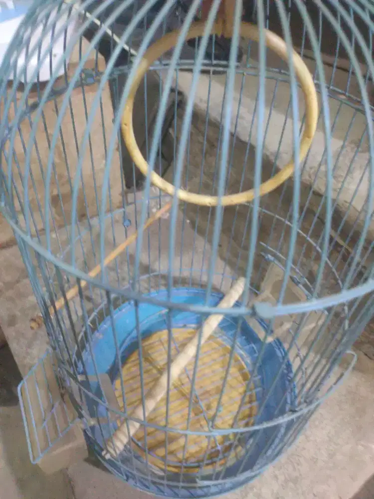 Kandang burung  Lovebird