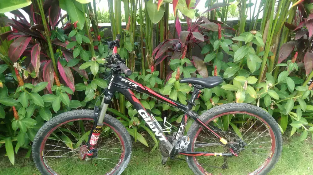Sepeda Giant atx elite