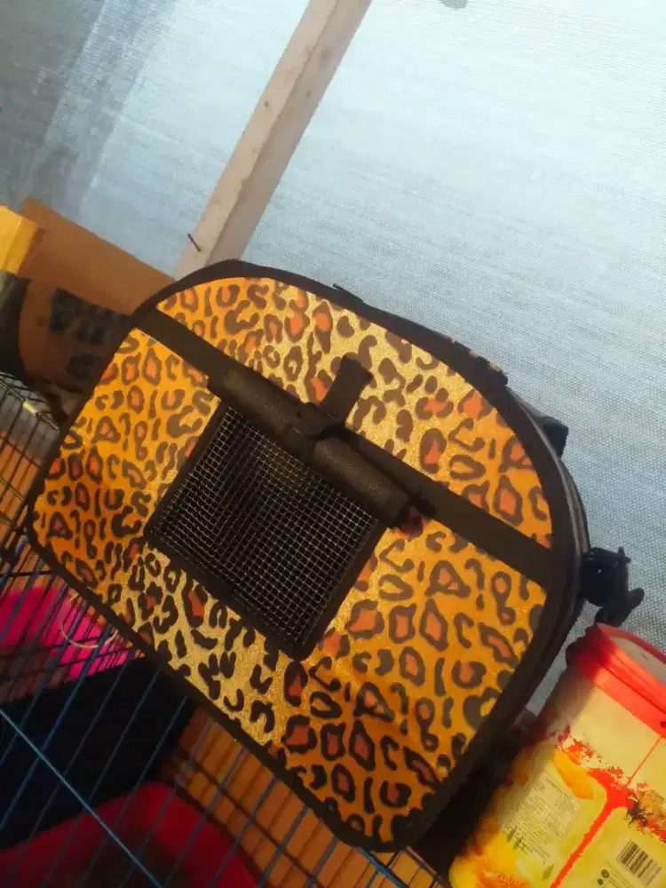 Tas kucing ukuran jumbo muat 2 ekor kucing dewasa