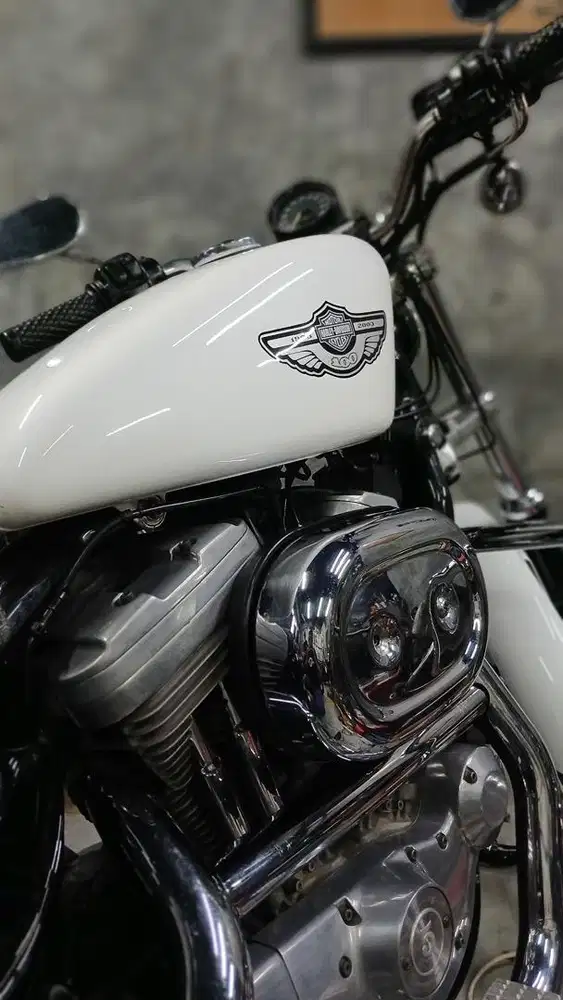 Harley Davidson Sportster XLH 883 2003 Anniversary 100th