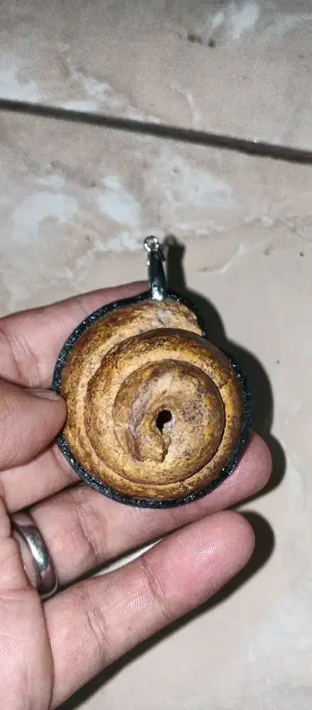 Liontin keong purba