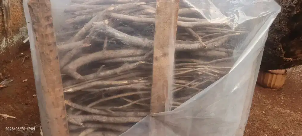 Kayu bakar untuk masak dll