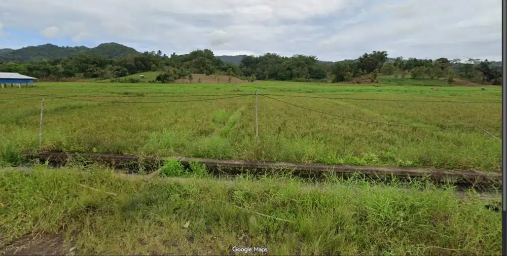 DIJUAL: Lahan Potensial 4,2 Hektar di Tondano Timur