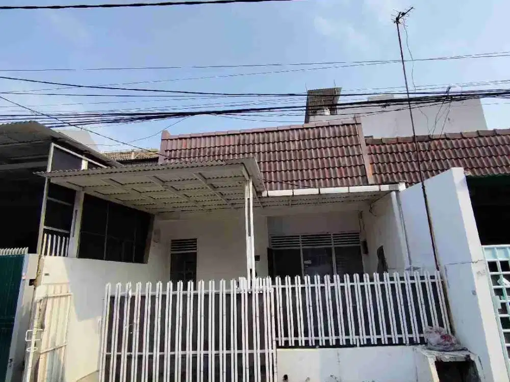 rumah sewa sunter siap huni
