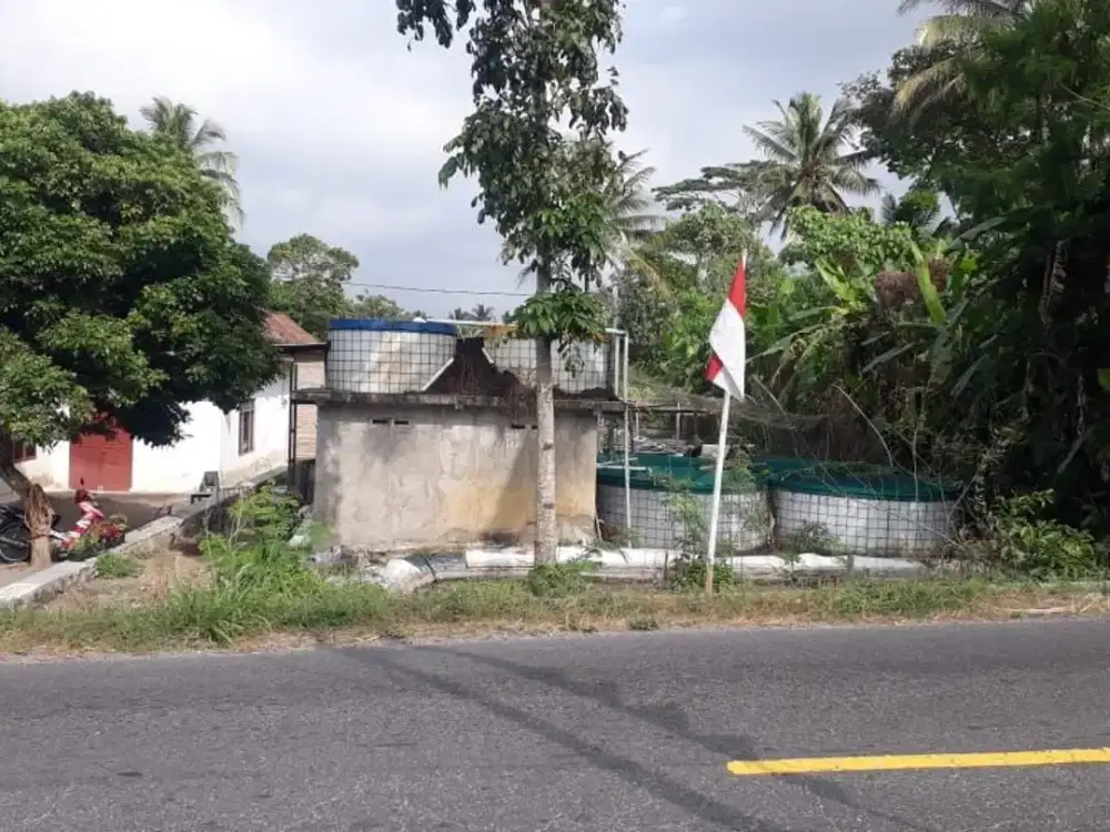 Dijual Tanah Murah Strategis Di Cangkringan, Cocok Untuk Perikanan & Usaha Lainnya
