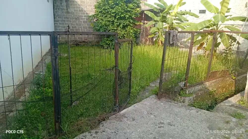 Tukang taman tangerang