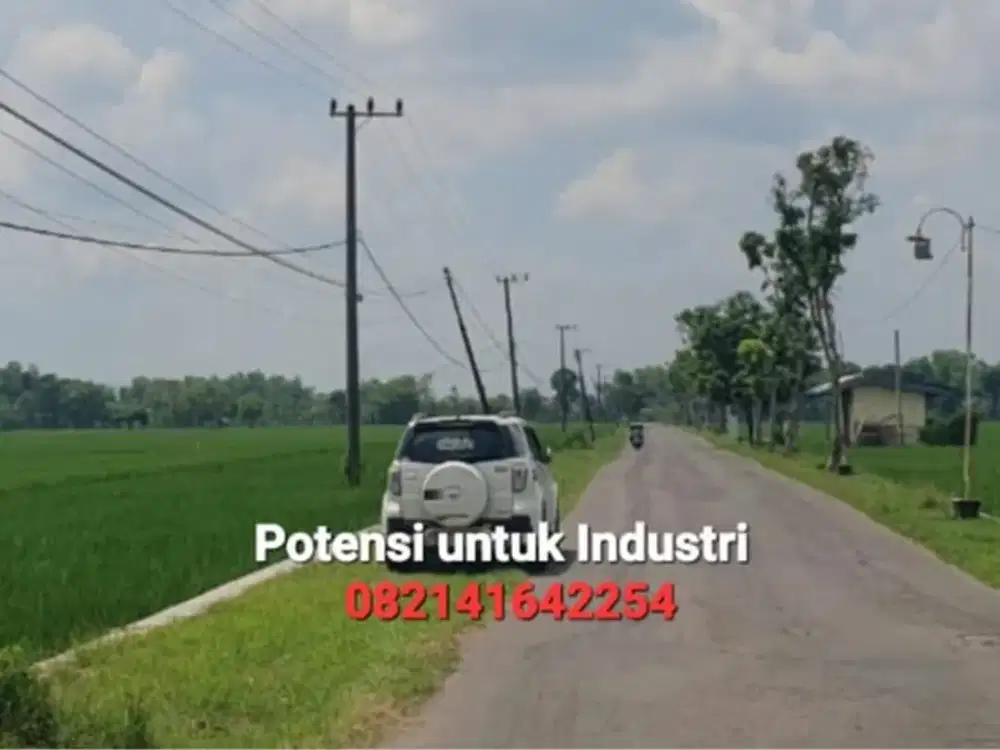 JUAL Tanah LD 280 mtr, dekat Jalan Raya Propinsi Caruban MADIUN, Lokasi Bagusss