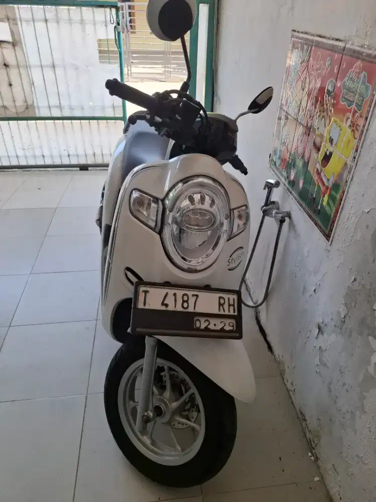Honda scoopy 2019
