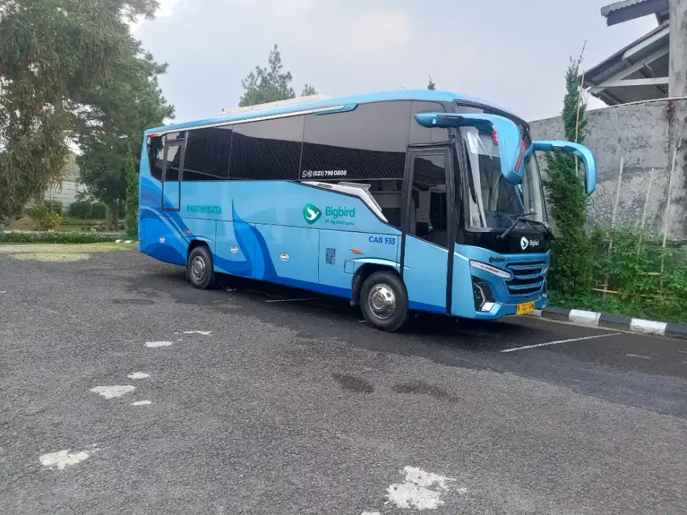 Lowonga pengemudi bus pariwisata