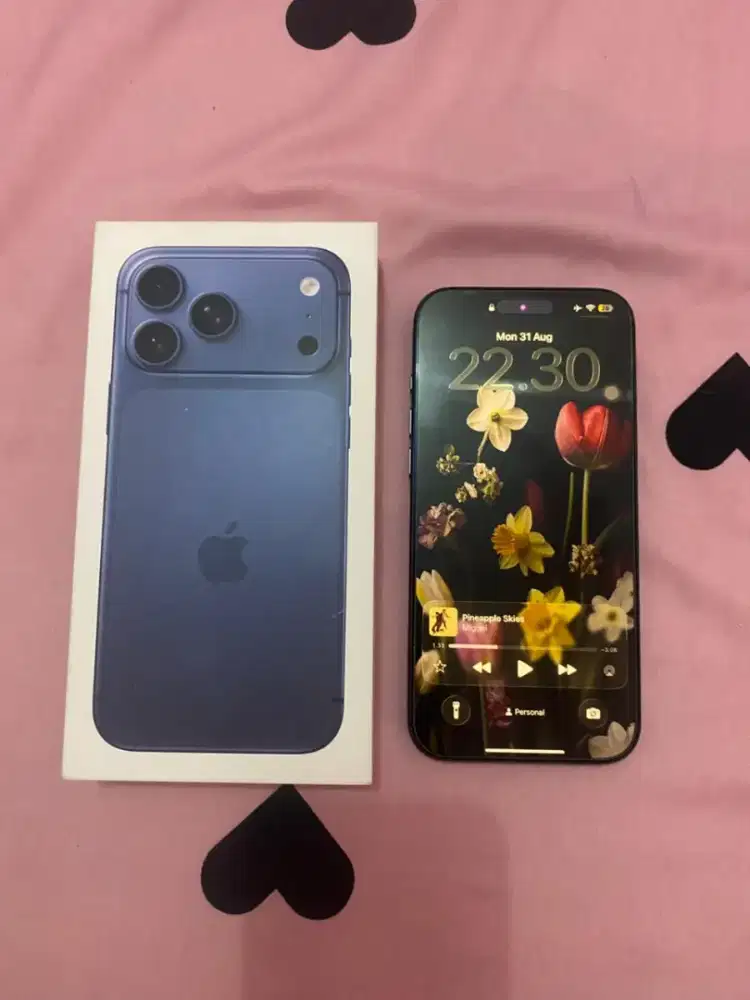 Iphone 17 Pro Max 512gb