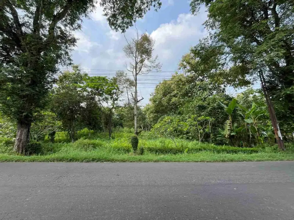 Lahan Pekarangan Strategis Pinggir Jln Raya Jumapolo-Kra