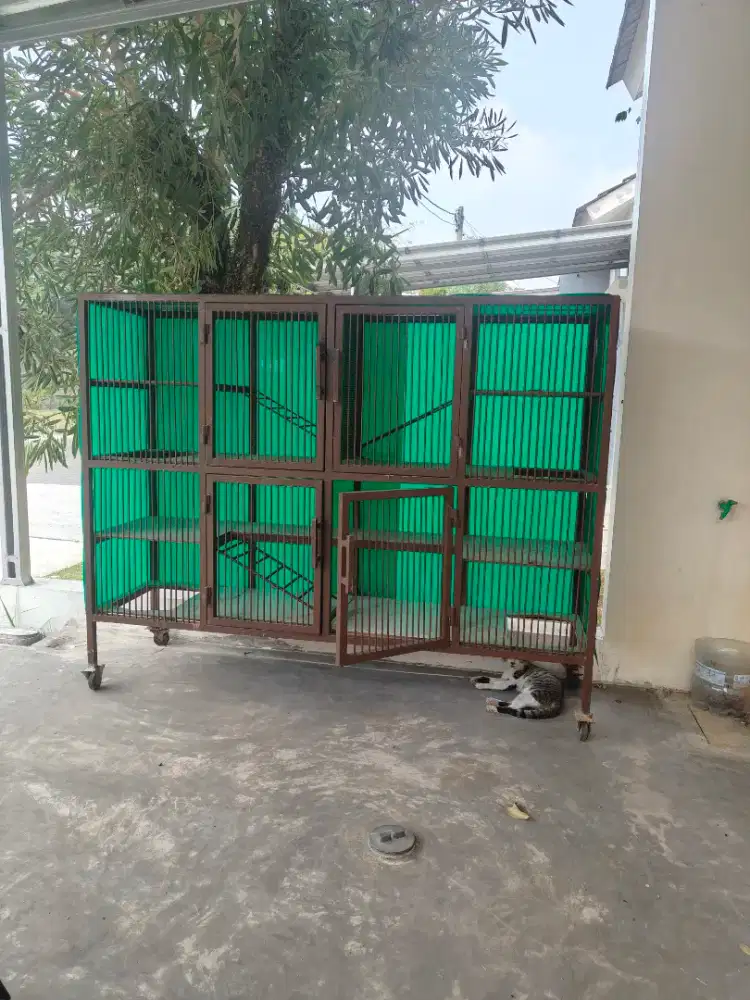 Kandang kucing custom 4 pintu