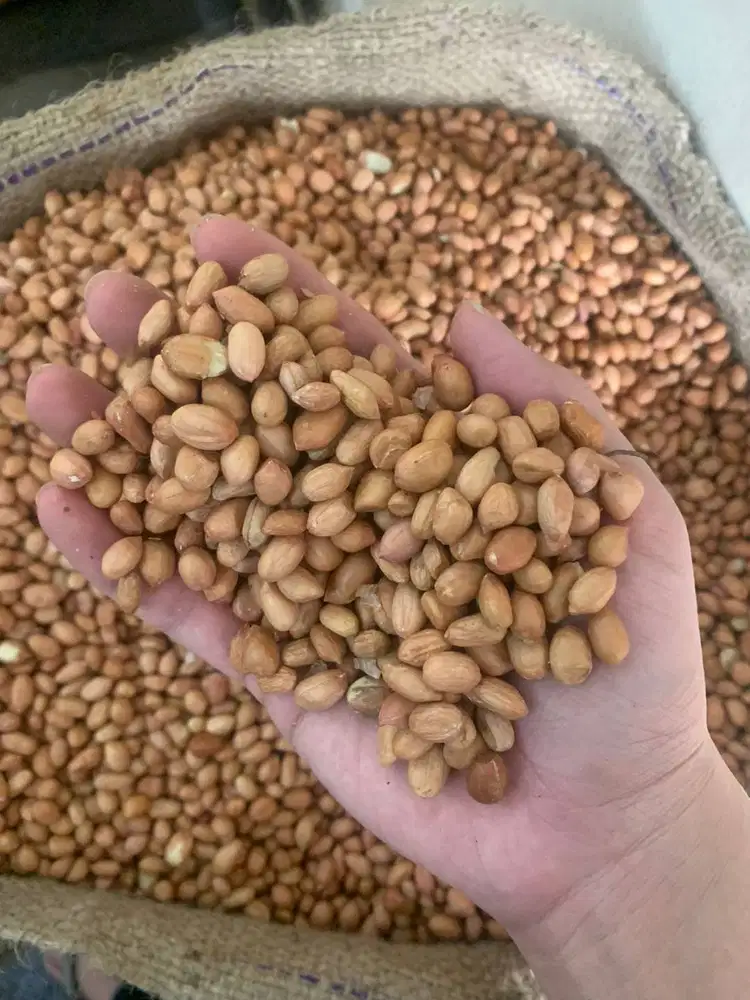 Dicari sales lapangan hasil bumi