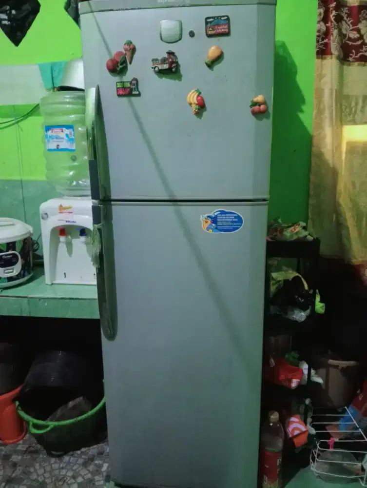 Kulkas LG Express Cool 2 Pintu