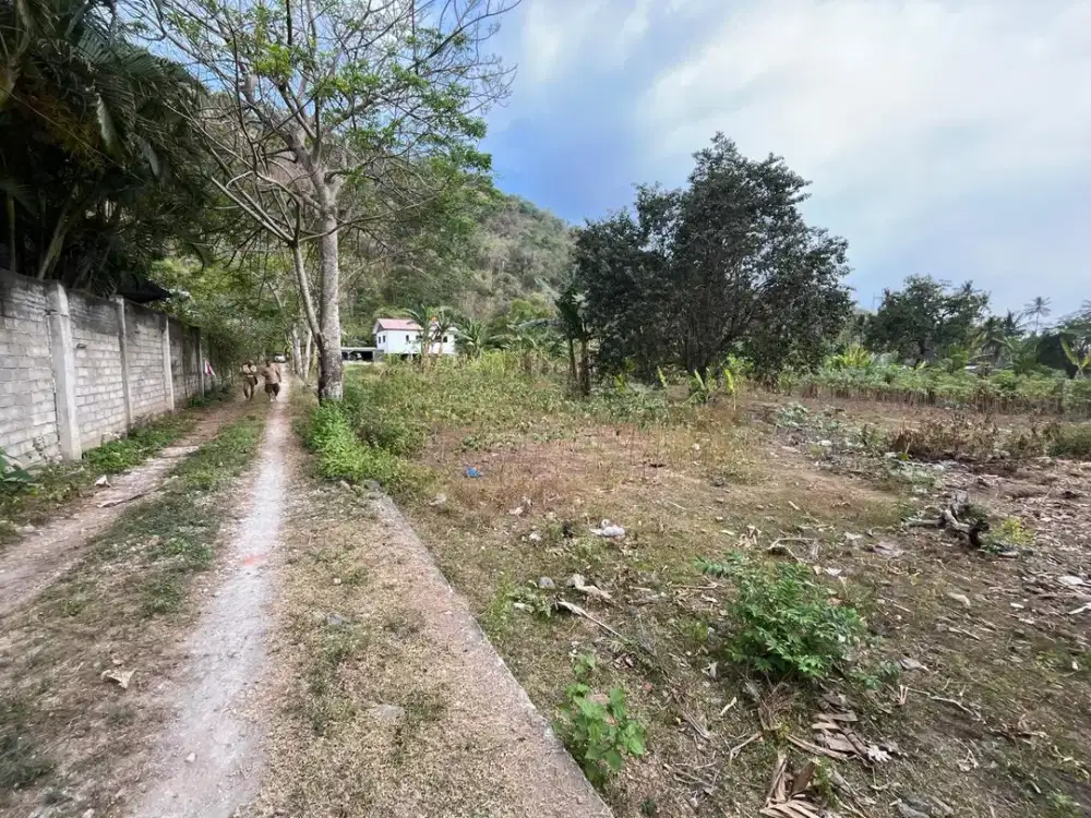 Tanah bukit Kerandangan dekat senggigi cocok untuk villa
