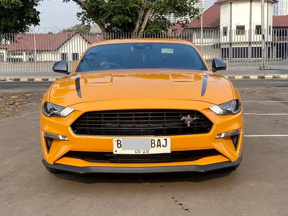 FORD MUSTANG 2.3 HIGH PERFORMANCE AT 2023