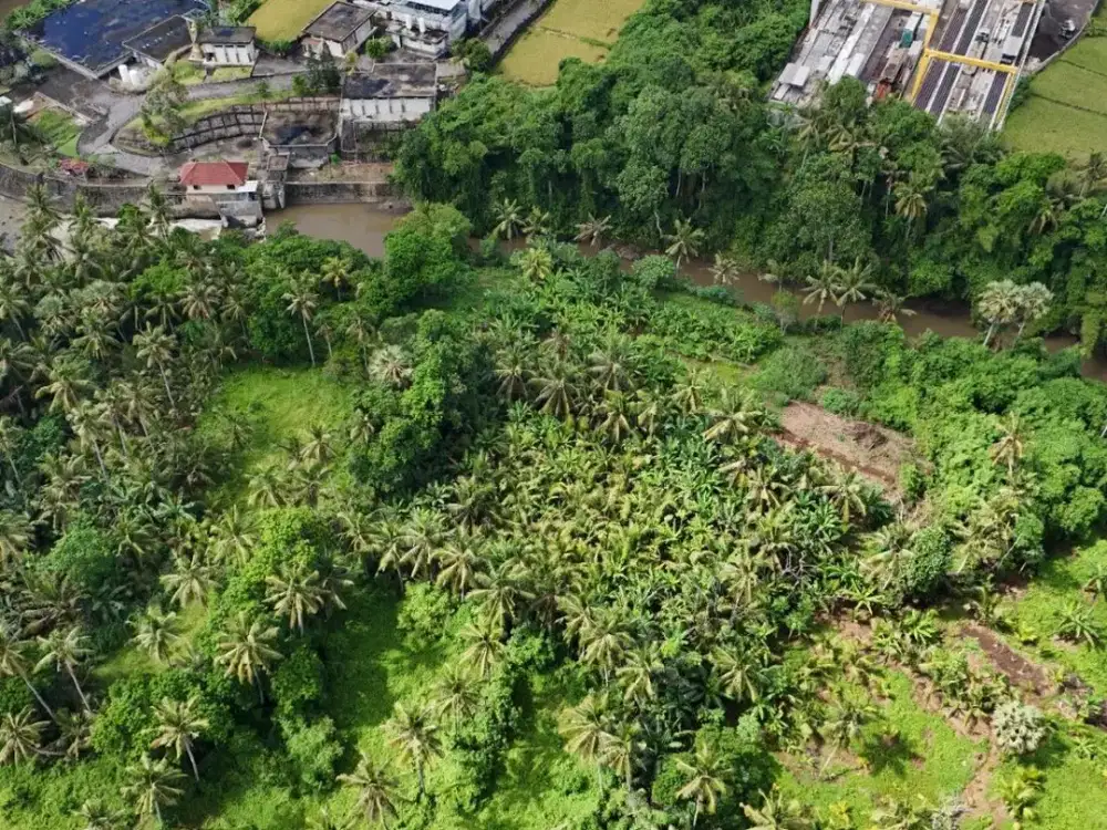 Tanah Dijual- Lokasi Strategis View Jungle Dekat Rs Kasih Ibu Saba Gianyar