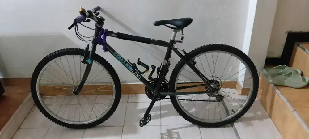 Sepeda stallion usa