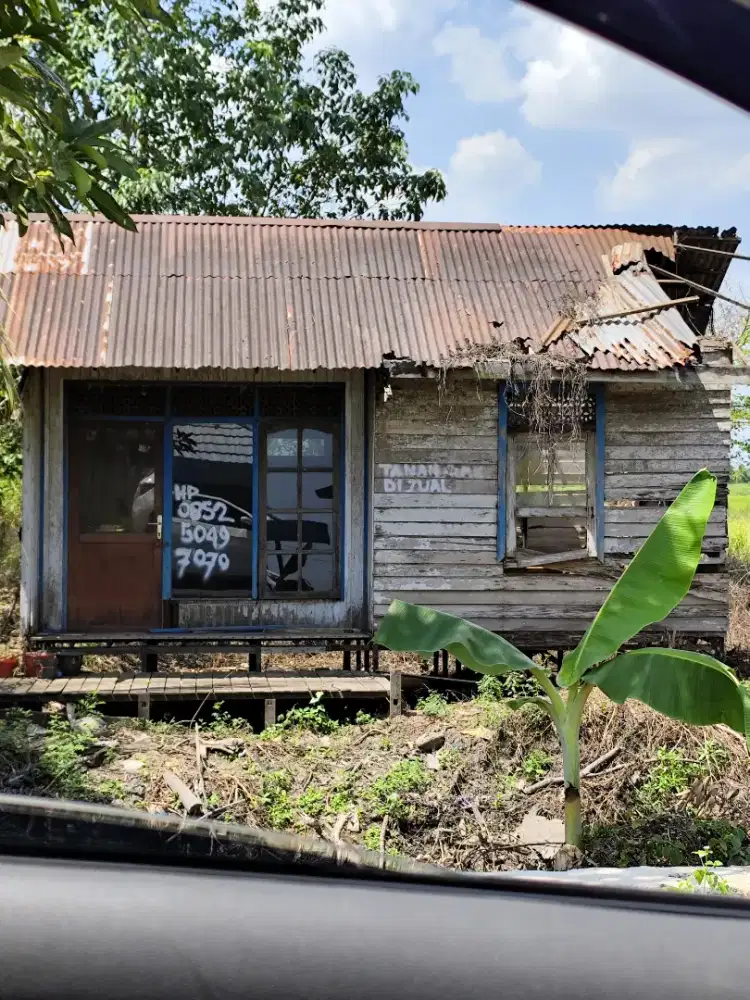 DIJUAL RUMAH + TANAH MURAH 35 JUTA - HANDIL BIRAYANG BAWAH, KURAU