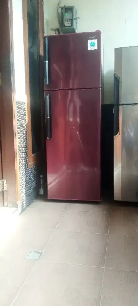 Kulkas Sharp 2 pintu