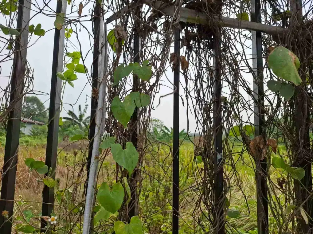dijual tanah di cuganggalih ,citra raya