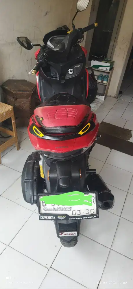 Lexi 2024 155 CC