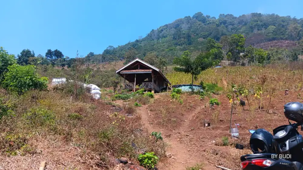 MURAH KEBUN DURIAN NAGREG