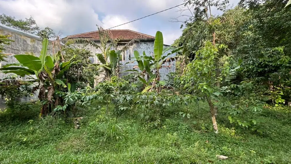 Dijual tanah kavling di Sukorejo Kendal