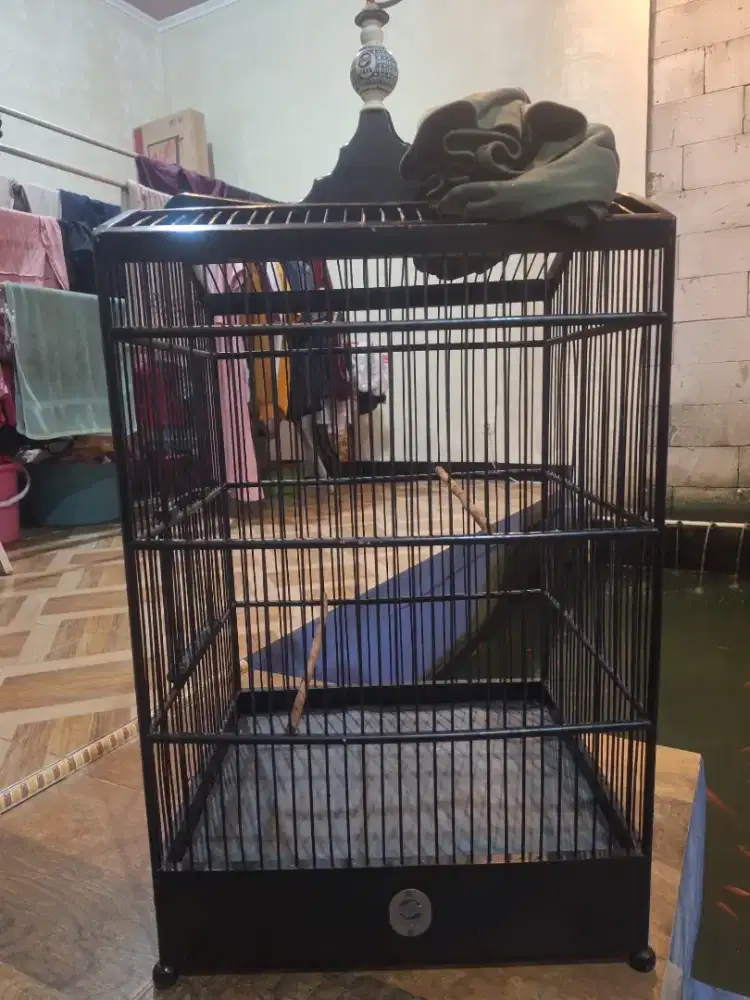 Kandang/Sangkar ebod no.2, untuk Burung Cucak ijo, kacer, kenari, dll