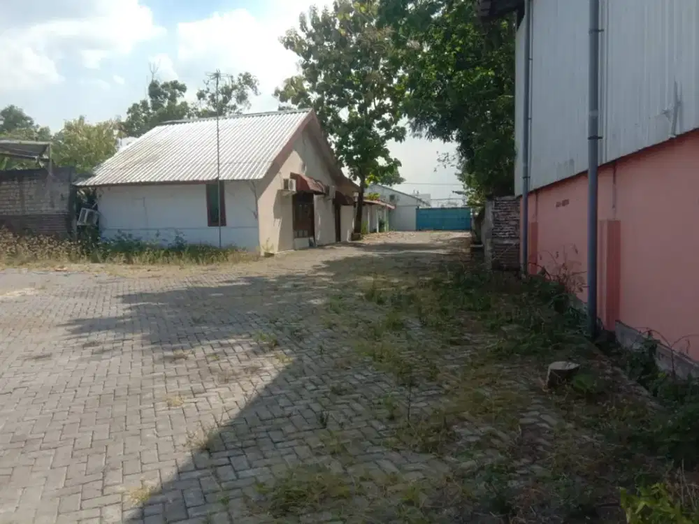 Tanah dan Rumah Dijual Dijalan Raya Jombang - Babat Kedungpring Lamongan