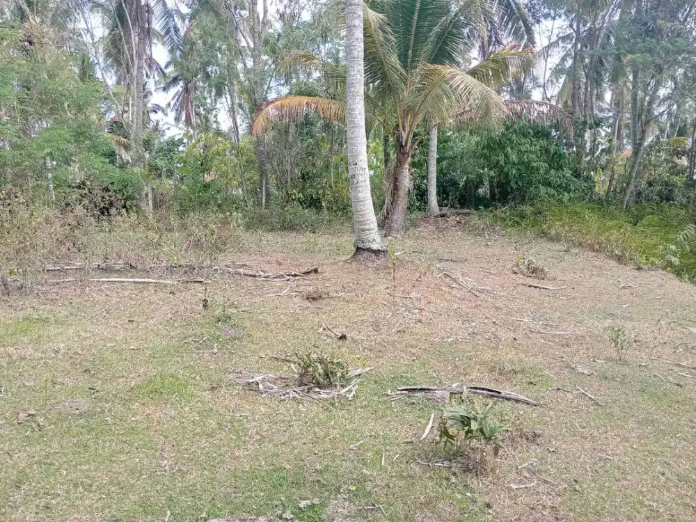 jual tanah kebun murah dekat pantai balian tabanan