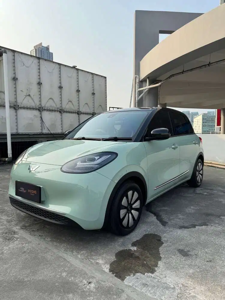 Wuling Binguo EV 2024