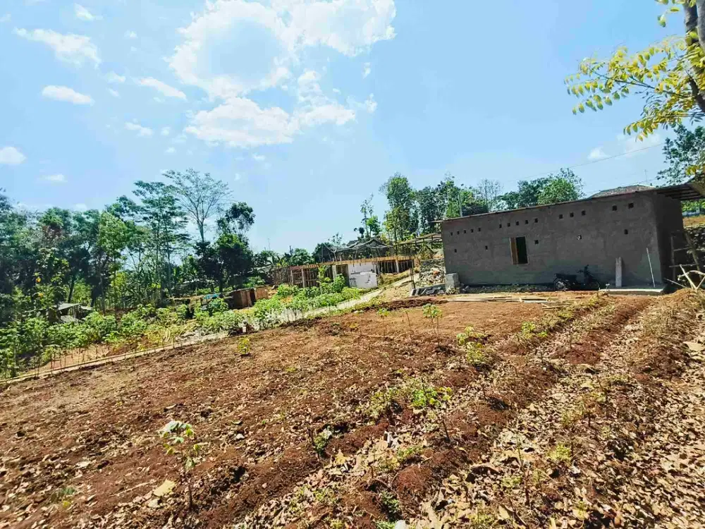 Tanah pekarangan 50 meter ke jl raya mojogedang