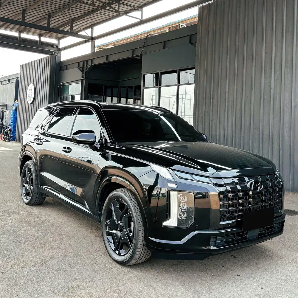 Palisade LWB 2022