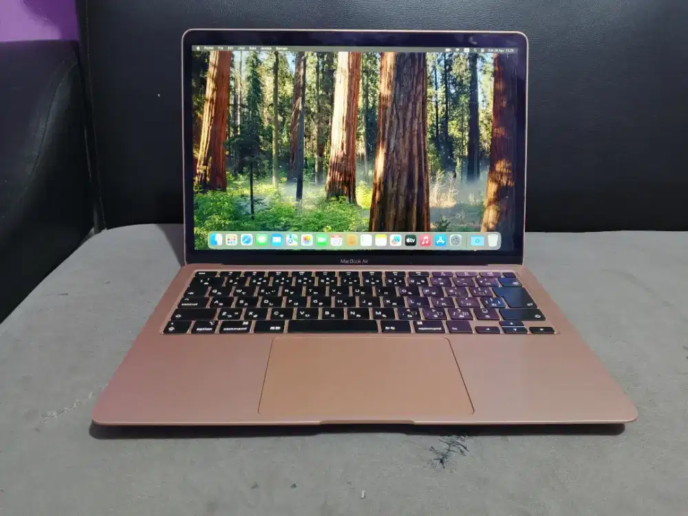 Macbook air retina 13 inch 2020 core i3 8/256 rose gold