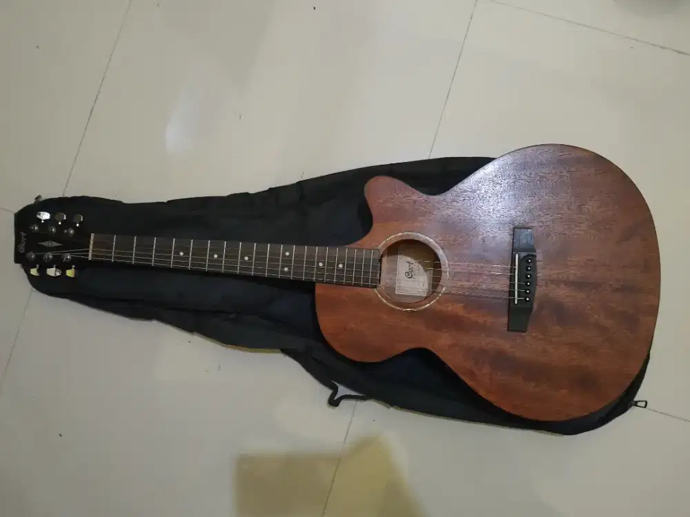 gitar cort sfx mem op