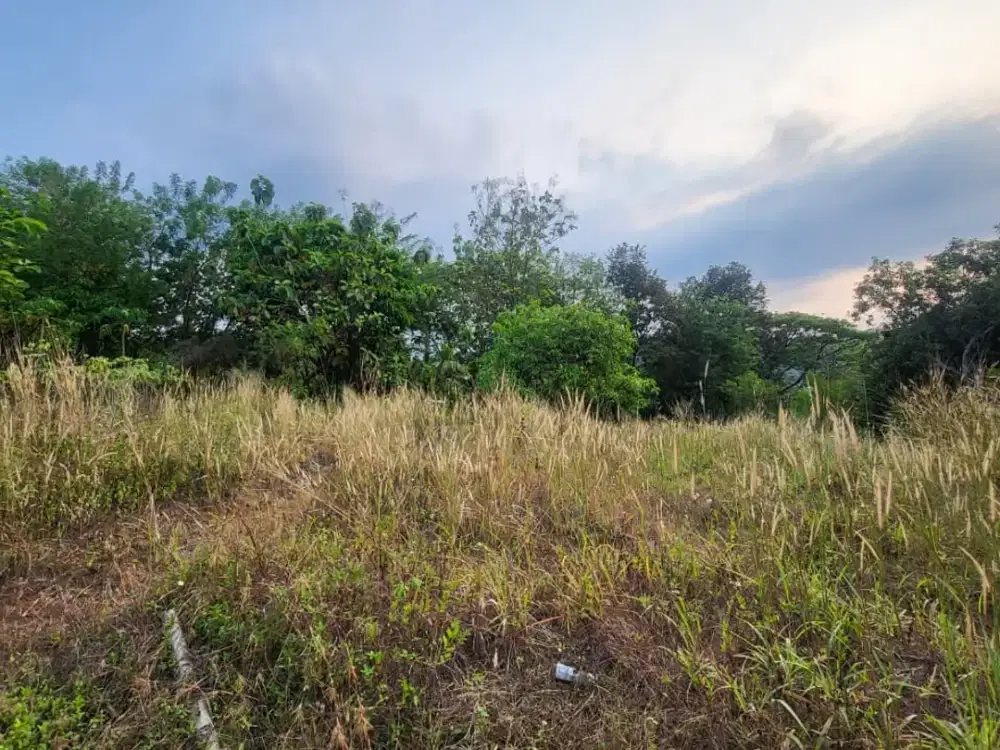 TANAH SHM DENGAN HARGA SUPER MURAH DI KOTA CIREBON!