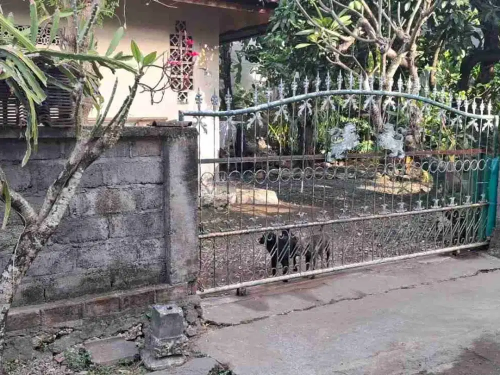 Tanah bonus bangunan layak huni di Panjer
