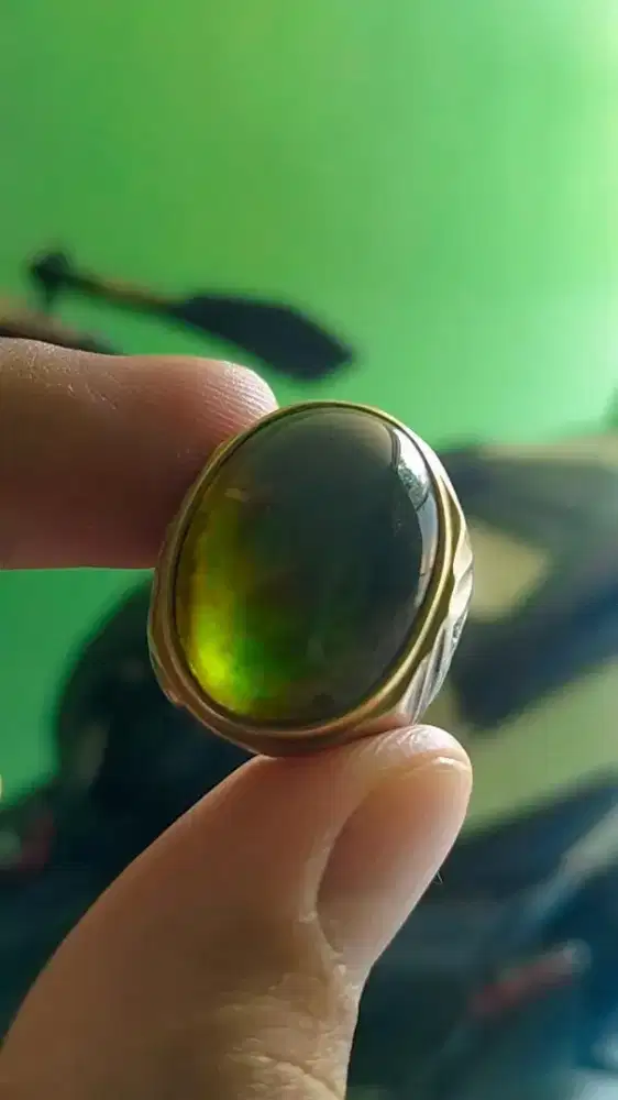 Bacan Doko coklat merah