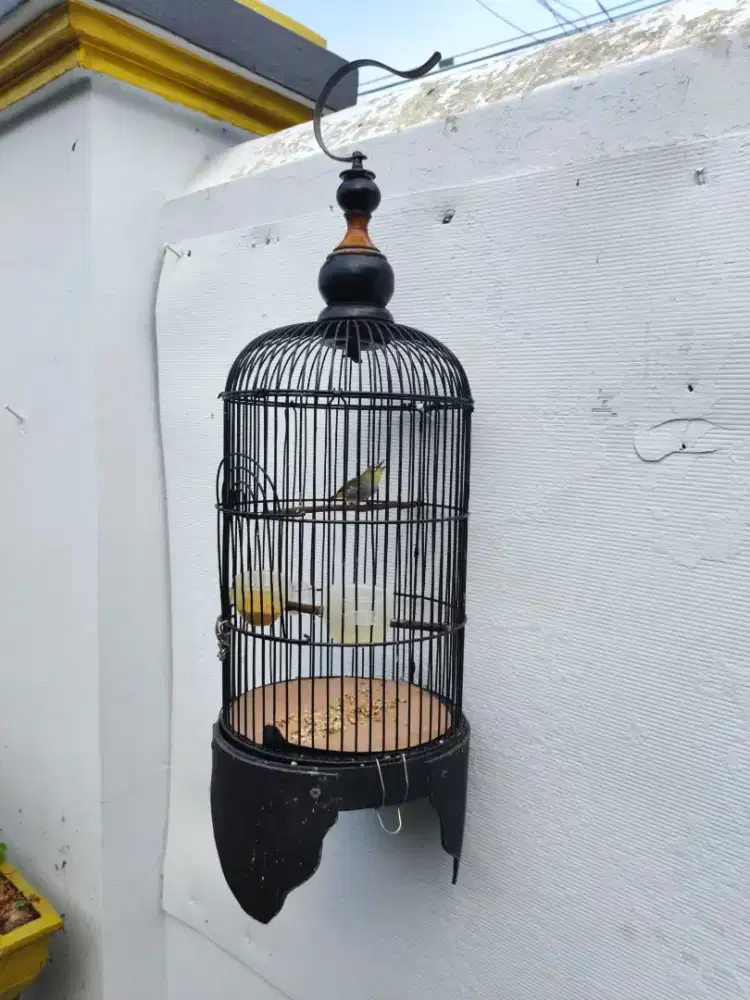 Kandang Sangkar Burung Kecil Sekalian Isinya.