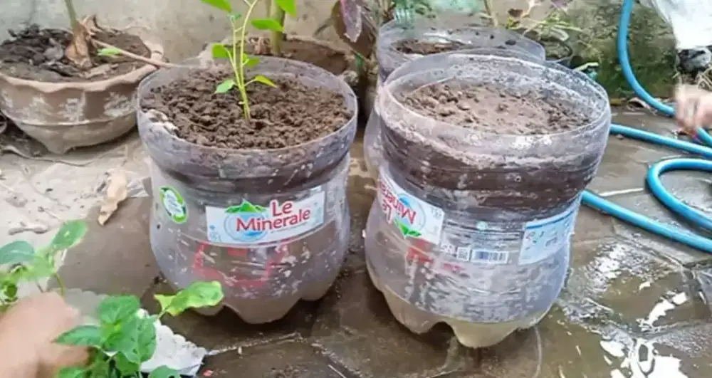 Pot bunga dari barang bekas